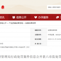 六安索伊电器制造有限公司被罚！生产销售不合格产品！