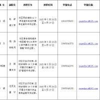 五届裕安区委“5+3”专项巡察信息表