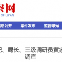 霍邱县民政局原局长黄家军接受审查调查