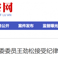 ԣ����ί������ίίԱ�����ɱ���