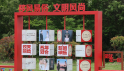 零彩礼！毛坦厂这场草坪婚礼“火”了