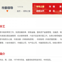 刘洪洁，已任六安市委副书记、市政府党组书记