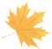 7337a611c766c546b28e90063c1de43b.png
