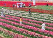 �������ڣ�����̤���ͻ� ����������������