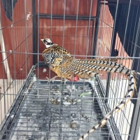 �����������������ڽ�ʩ����