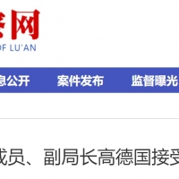 霍邱县民政局原党组成员、副局长高德国被查